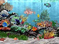 Marine Tank 3D screenshot